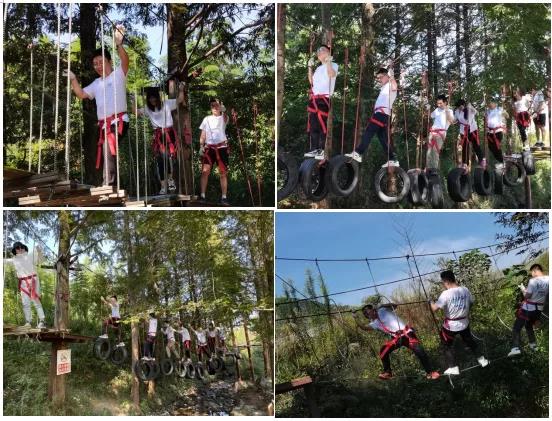 1668411086716527.jpg 1635062242574864.jpg